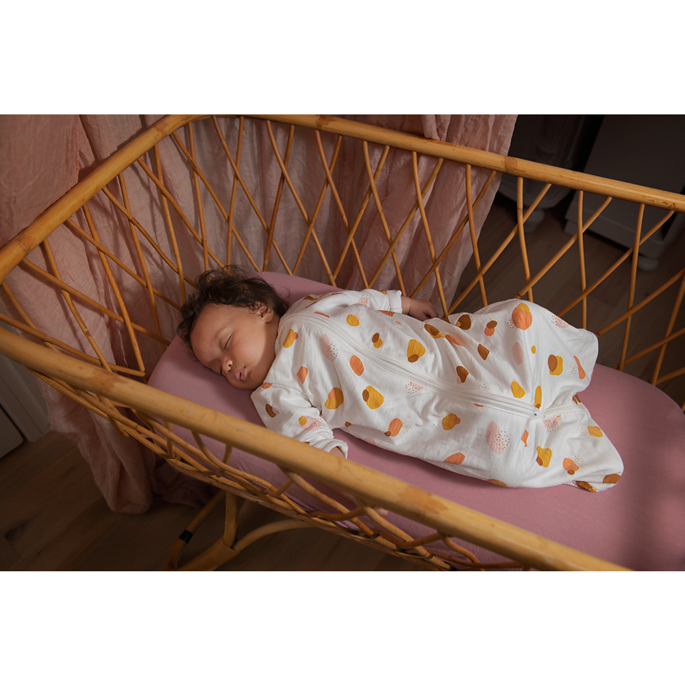 Philips Avent povezljiva video otroška varuška SCD953/26