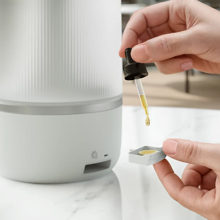 Philips Blazinice za aromo FY5100/00