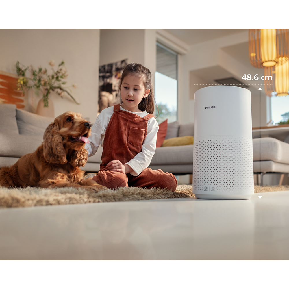 PHILIPS FY1700/30 FILTER ZA ČISTILEC ZRAKA