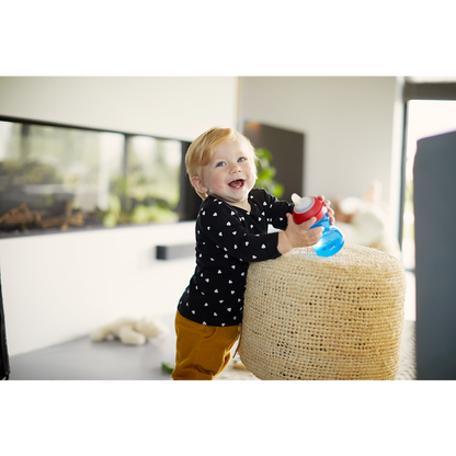 Philips Avent  lonček z mehkim ustnikom 9m+, 300ml, deček SCF802/01